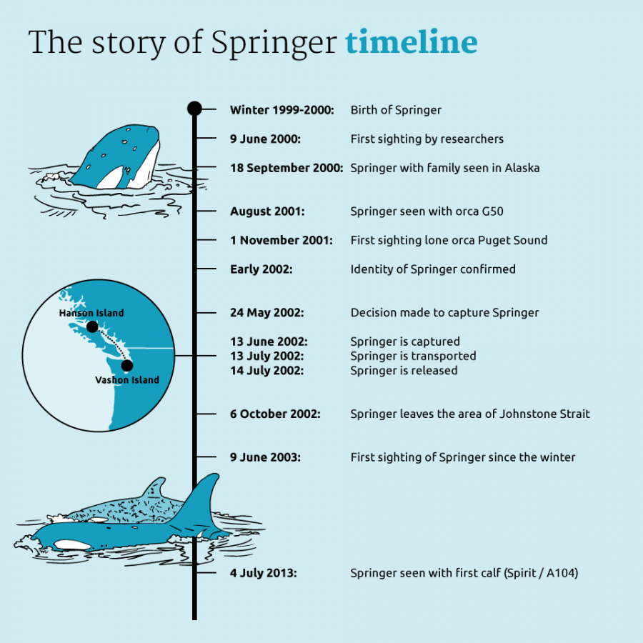 Tijdlijn-Springer-ENG