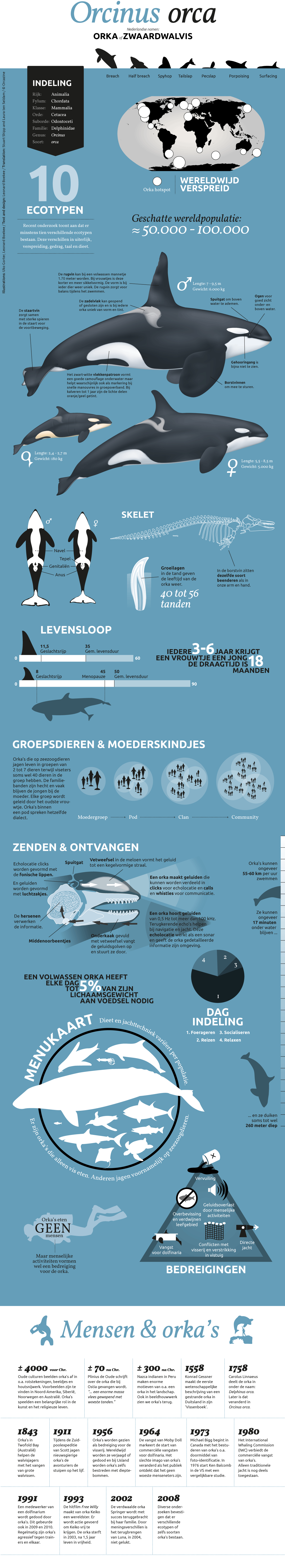 Orcagraphic-NL-WEB